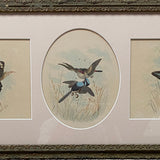 3 Panel birds