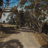 Along the Wallaby Track (Adelaide Hills)