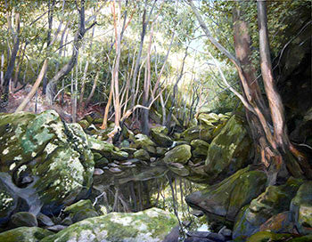 Brian Wolfenden art